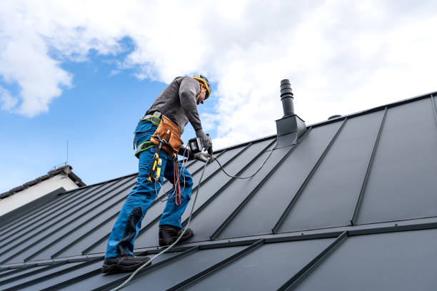 Best Solar Panel Roofing Installation  in Honeygo, MD