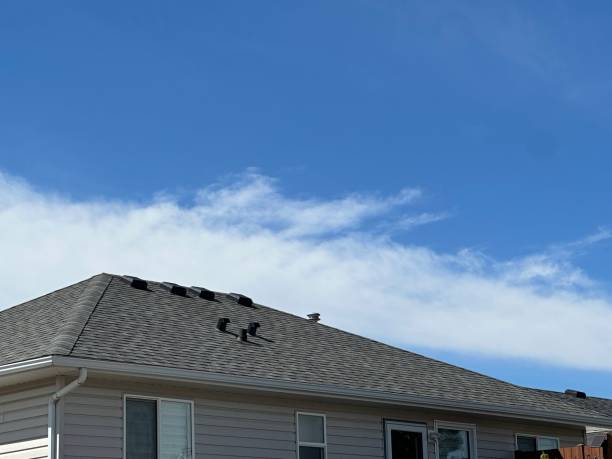 Best Roof Coating and Sealing  in Honeygo, MD